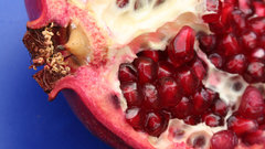 Red pomegranate
