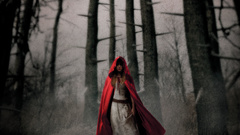 Red Riding Hood (movie)