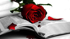Red rose blood Book
