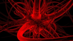 Red shit This about ohh yea