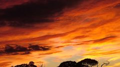 Red sky burning horizon