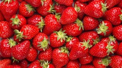 Red strawberries fruits