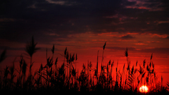 Red sunset clouds sun