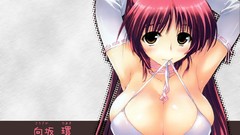 Red to heart to heart 2 kousaka tamaki cleavage bikini