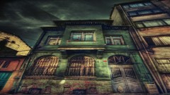 Red tulips Turkey Istanbul houses