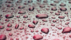 Red water drops macro