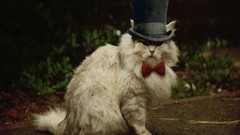 Red white fluffy tie hats bows