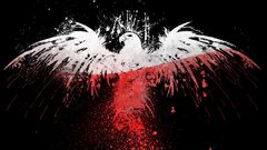 Red white Polish Poland