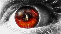 Redeye re work counter