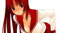 Redheads cleavage school uniforms