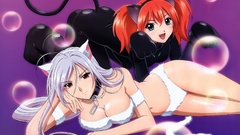 Redheads purple hair animal