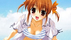 Redheads swimsuits anime girls