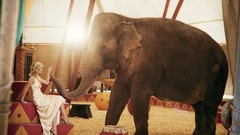 Reese Witherspoon water for elephants