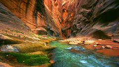 Reever Last one pretty