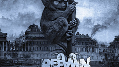 Refawn high