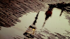 reflection pavements street light water puddle