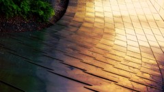 Reflections paths ground hardscapes