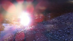 Reflections sunlight ponds waterscapes