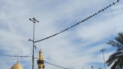 Religion karbala Imam Hosein Ashora