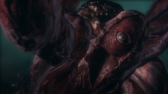 Resident Evil Jill Valentine Chris Redfield resident evil 