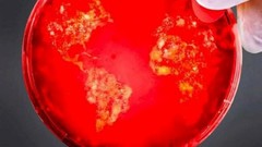 Resident Evil Resident Evil Retribution