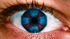 Resident Evil Umbrella Corp.