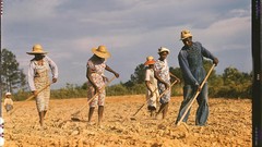 Retro vintage USA colored 1940