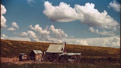 Retro vintage USA colored 1940