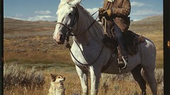 Retro vintage USA colored 1940