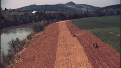 Retro vintage USA colored fields 1940