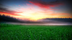 Return and was high given shall