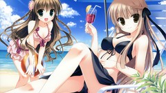 Rewrite bikini swimsuits