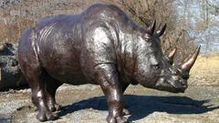 Rhinoceros Made of bronzegot