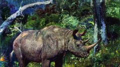 Rhinoceros paintings Zdenek Burian