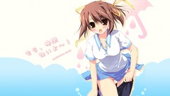 Ribbons skirts brown eyes brunettes school uniforms seifuku 