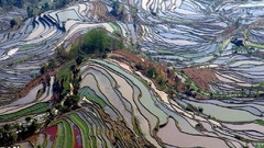 Ricefields Landscapes fields rice