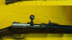 Rifle weapons bolt Rifles