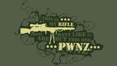Rifles artwork