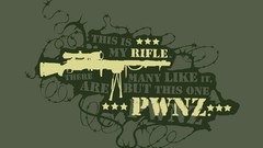 Rifles artwork
