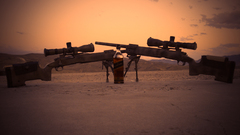 Rifles sniper rifles