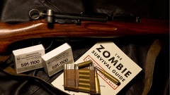 Rifles zombies