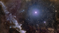 Rigelwitch andreo big high