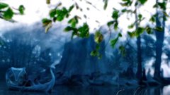 Rings fellowship ring Lothlorien