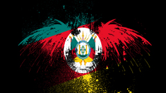 Rio high Resolution rep blica grandense