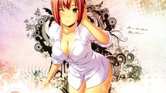 Rio: Rainbow Gate! anime