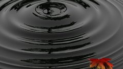 Ripples leaves waves nature