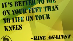 Rise rise against knees guilt Survivor Quotes