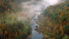 River autumn Trees forest