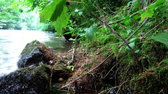 River brenz high World