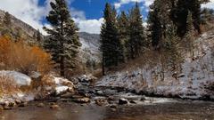 River forest nature winter